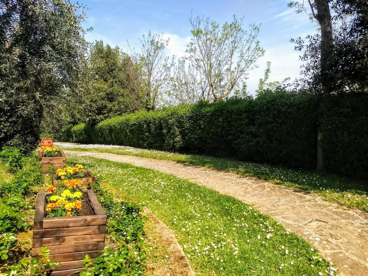 Borgo La Casaccia